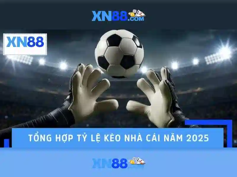 Nhận diện tên miền chính thức & gia cố tài khoản