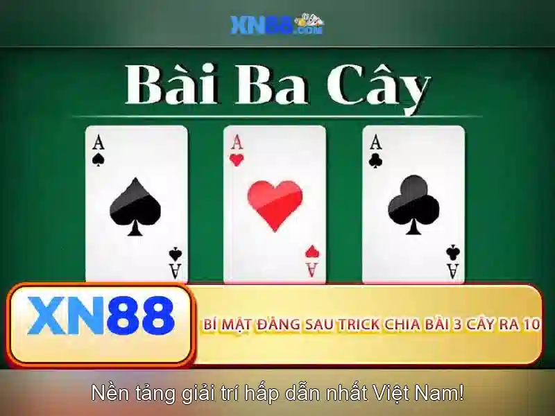 16 năm hành trình tuân thủ thương hiệu